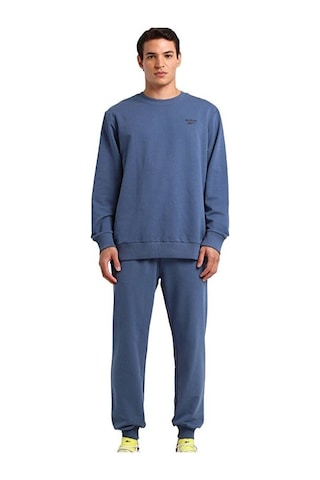Reebok Niki Crew Erkek Sweatshirt 102697565 Gri