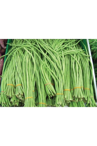 İthal Uzun Çin Fasülyesi Tohumu 3 Fasulye Tohumu