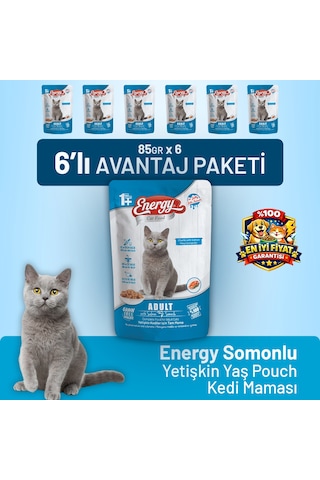 Somonlu Yetişkin Yaş Kedi Maması 85 G - 6 Adet