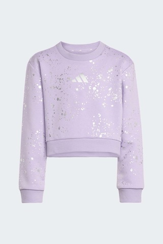 Adidas Çocuk Takım Jw2421 Mor