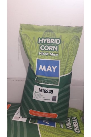 May Silajlık Mısır Tohumu M16s45