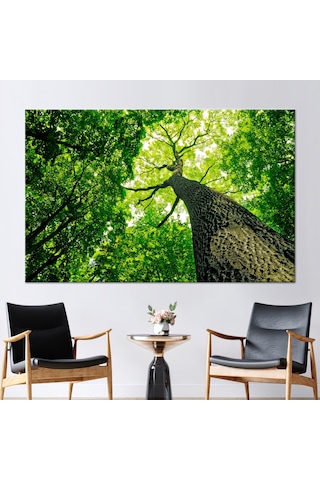 90x150cm 1 Parça Kanvas Tablo, Doğa Kanvas Sanatı