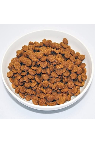 Ayrex Farmına Vet Life Cat Gastroıntestınal 5kg