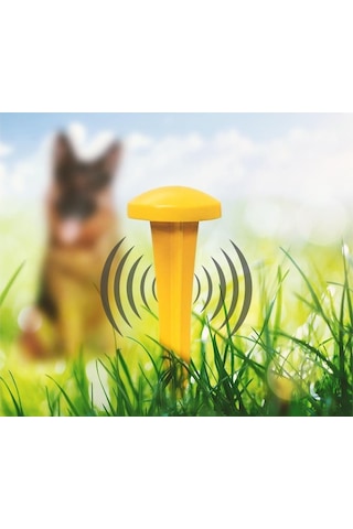 Simple Solution Pee Post Dış Mekan Tuvalet Eğitim Kazığı