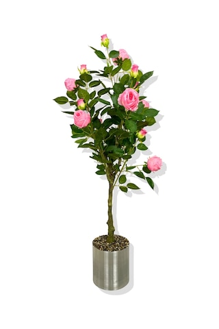 Cihan Çiçekçilik Yapay Pembe Gül Ağacı 150 Cm 25x25 Galvaniz Saksı Beyaz- Yeşil