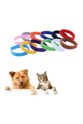 Homyl 12 Adet Tanımlama Köpek Tasmaları Ayarlanabilir Kimlik Açık Mor