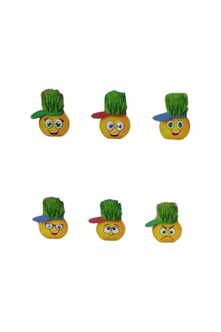 Emoji Çim Adam Yapım Seti-okul Eğitici Deney Seti