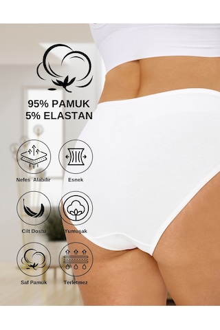 Alya Underwear Kadın Külot Basic Slip Renkli Pamuklu Iç Çamaşırı 10'lu Paket Multicolor-x32 Multicolor - X17