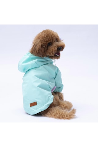Mint Mont Köpek Mont Köpek Kıyafeti Köpek Yağmurluğu