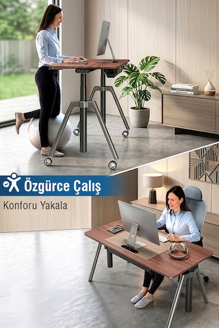 O-Flex Oak Yükseklik Ayarlı Çalışma Masası - Ceviz