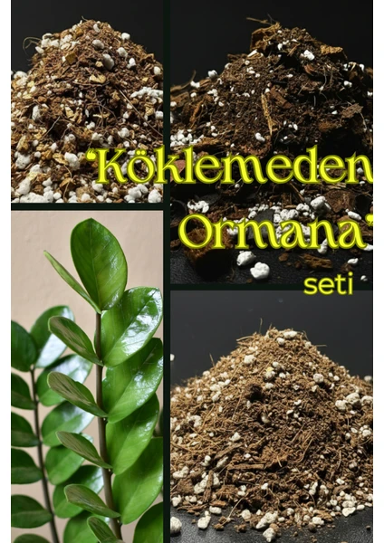Köklemeden Ormana Seti / Büyüme Yolculuğu Için Toprak Karışımı 10 L