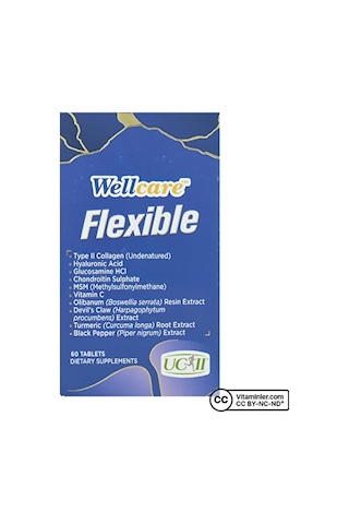 Wellcare Flexible Kolajen 60 Tablet