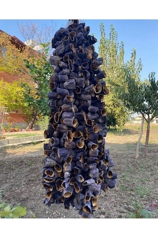 Hatay Çiftliği Kuru Patlıcan 45-50ad