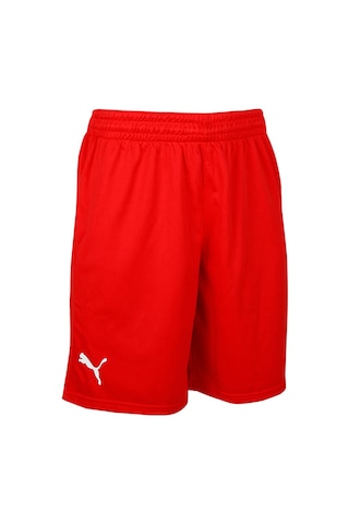 Puma Turkey Practice Short Erkek Türkiye Basketbol 60547202 Kırmızı 60547202 Kırmızı