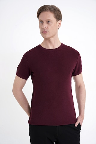 Efor Comfort Fit Rayon Karışımlı Bordo Bisiklet Yaka Tişört Ts 925