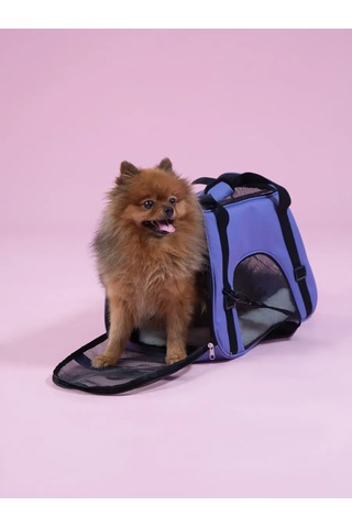Bobrıkgora Kedi Ve Köpekler İçin Katlanabilir Taşıma Çantası 309987997