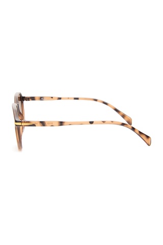 Falenti Ae31151-c2 52 Unisex Güneş Gözlüğü Kahverengi