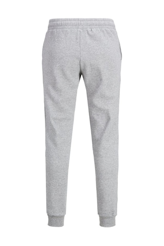 Jack & Jones Erkek Eşofman Altı Sweat Pant - 12178421 001