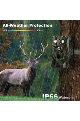 Dancemonkey Kamera Yaban Hayatı 32mp 1080p Kızılötesi Hareketle Etkin Çok Renkli