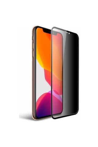 Pp Apple Uyumlu iPhone 16 Pro Gizli Hayalet Cam Ekran Koruyucu 91623941