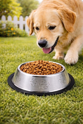 Paslanmaz Çelik 22 Cm. 500 Ml. Gri Kaymaz Taban Kedi Köpek Mama Ve Su Kabı Mt251