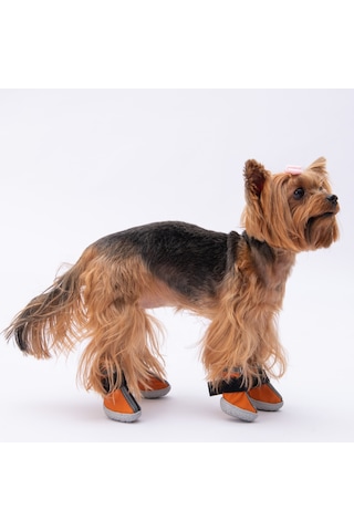 Pawstar Turuncu Köpek Ayakkabısı