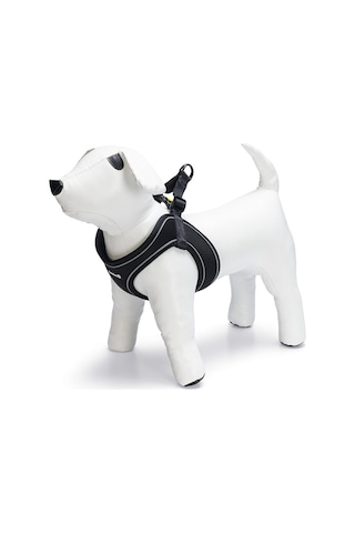 Beeztees Köpek Göğüs Tasması, Neopren, Siyah, M, 41-46cm Çok Renkli
