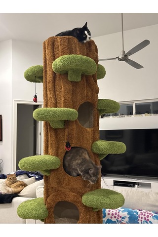 Ağaç Temalı Kedi Evi 180 Cm