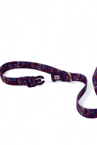 Caramelos Köpek Gezdirme Tasması, Bağlama Kilitli, Anti Shock 6 Çok Renkli