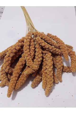 Kızıl Dal Darı Doğal 250 Gr