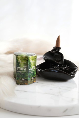 Aromatika Rain Forest Geri Akış Tütsüsü