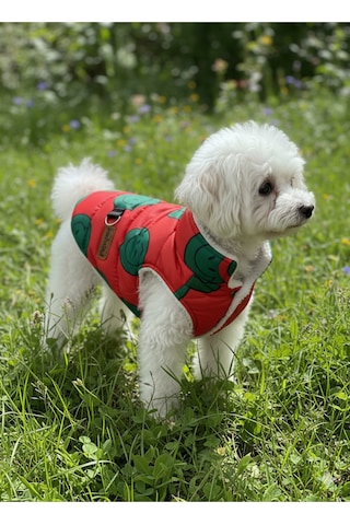 Patilinka Kedi Köpek Kışlık Kıyafet Mutlu Şişme Yelek Mont