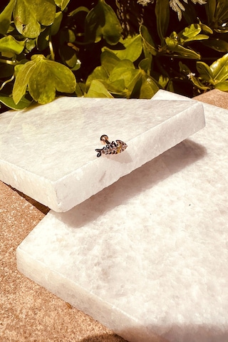 Balık Tasarım Özel Tasarım Rose Gold Renk Stainless Steel Çelik Tragus Helix Piercing