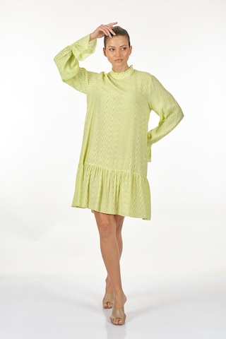 Perspective Dik Yaka Uzun Kollu Ekru Misket Limonu Kadın Elbise 2 001