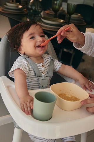 Kare Bebek Mama Tabağı 2'li Set Sage Green - Vanillia