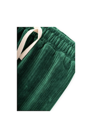 Fitilli Kadife Jogger Pantolon 1-10 Yaş Yeşil Yeşil