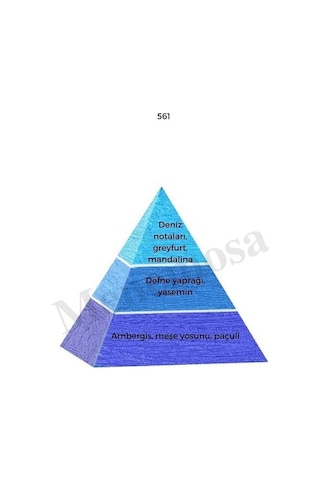 Bargello 561 + 709 Erkek Parfüm EDP 50 ML Fresh/oriental Aromatik