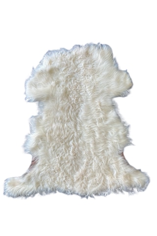 Gerçek Uzun Tüylü Koyun Postu Krem 70x50 Cm