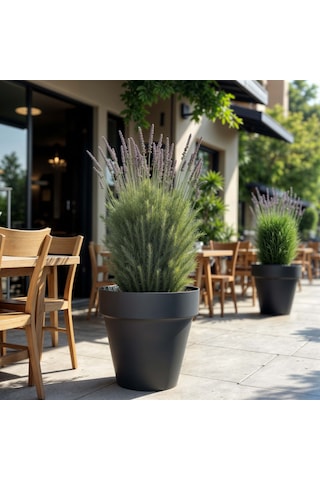Serinova Yalı Separetörlü Saksı 6 Lt 46300412