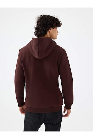 Regular Fit Erkek Sweatshirt Kahverengi