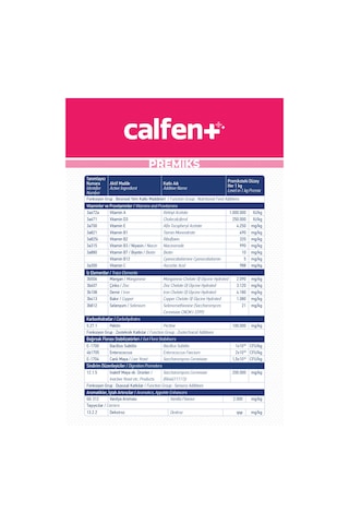 Vioment Calfent 600 Gr -Bir Gelişim İçin; En İyi Destek-