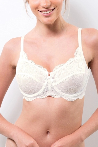 Pierre Cardin Ekru 7023 Balenli Minimizer Toparlayıcı Dantelli Büyük Beden Desteksiz Sütyen