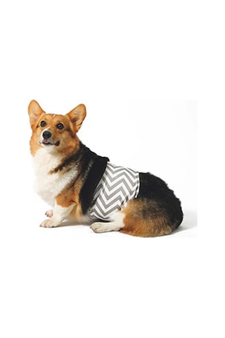 M-pets Erkek Köpekler İçin Yıkanabilir Külot Xxlarge 244-72014.05