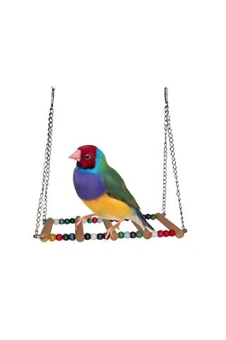 Dmcpetstore Kuş Oyuncağı