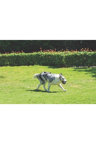 M-pets Coto Örgü Top Köpek Oyuncağı Gri 9,5 Cm 244-50026.01