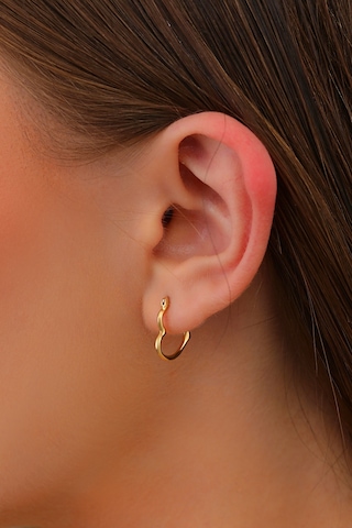 Moom Mücevherat Altın Küpe 14 Ayar Altın Kalp Küpe-1,50 Cm