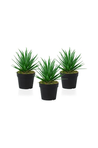 3 Adet Siyah Mini Plastik Saksıda Yapay Aloe Vera Çiçeği