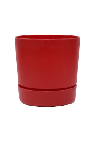 Poliwork 12 Begonya Bitki ve Çiçek Saksısı 1 Litre