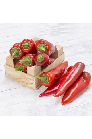 Bykurt Sunagri Sunagri Kapya Biber Tohumu - Yağlık, Salçalık, Konservelik, Yüksek Verimli, Tatlı Kapya Biber Tohumu