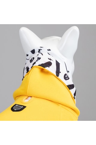 Freedom Küçük, Orta Ve Büyük Irk Köpek Sweatshirt